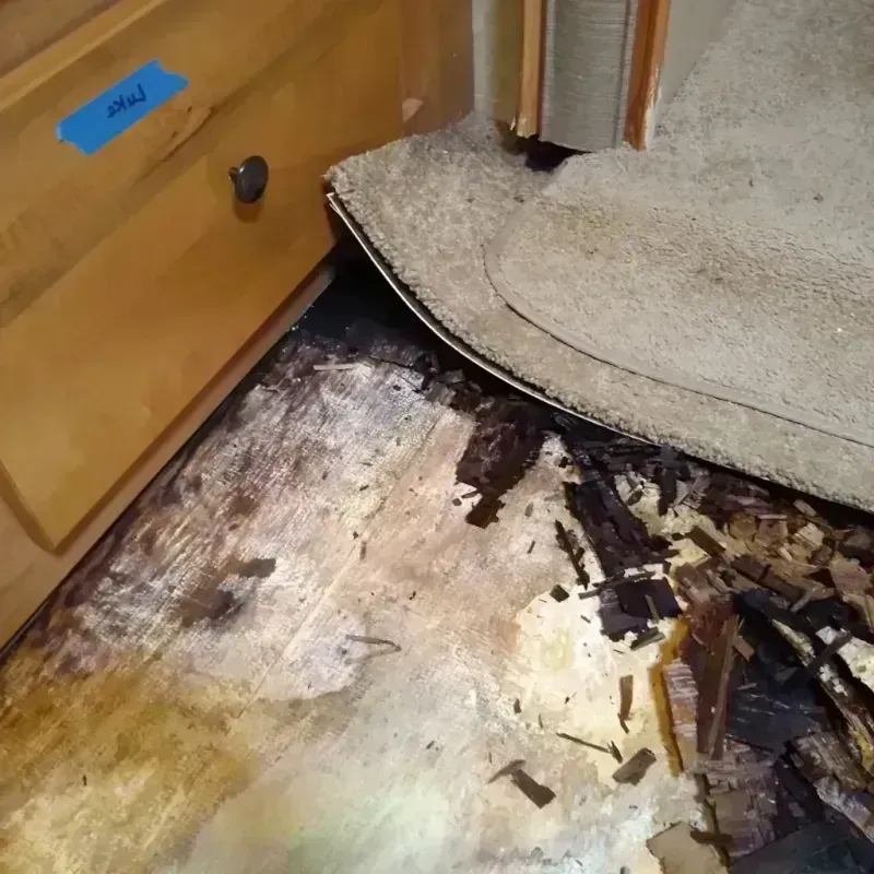 Wood Floor Water Damage in Timber Lake, SD